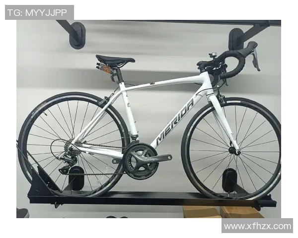 探索斯特拉93的魅力与潜力：未来科技与人类生活的交汇点