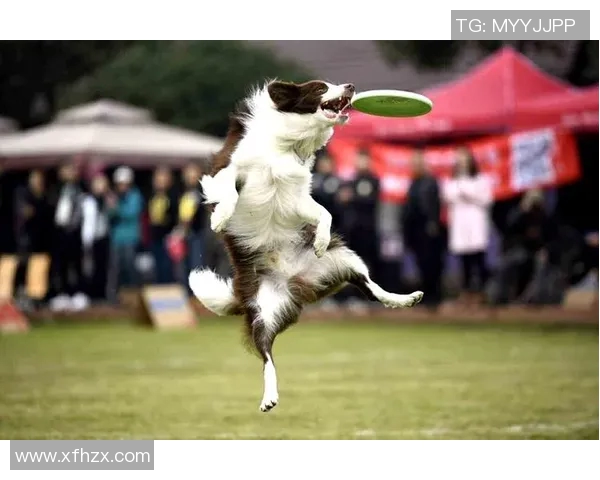 拉孜镇第二届足球比赛精彩直播盛况回顾与精彩瞬间分享