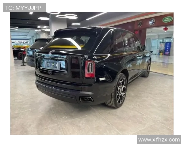 探索yjdm的奥秘与应用前景在现代科技中的重要性与影响力