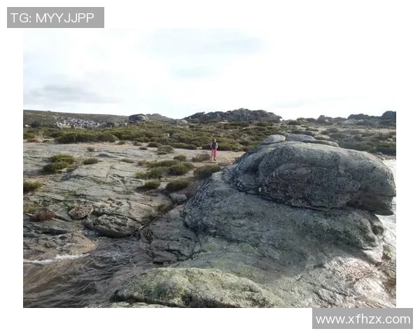 探索埃斯特旺的魅力与文化遗产，感受独特的历史氛围与自然风光