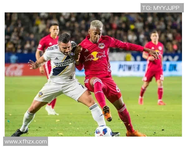 纽约城的繁华与伐木工的坚韧：城市与自然的对话与碰撞