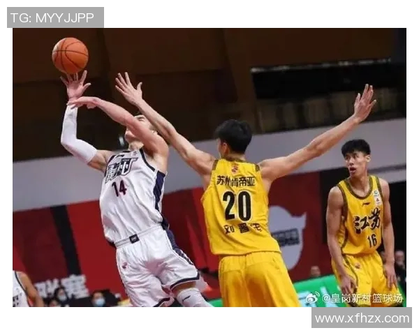 江苏男篮对阵广州龙狮的比赛预测分析及胜负趋势探讨